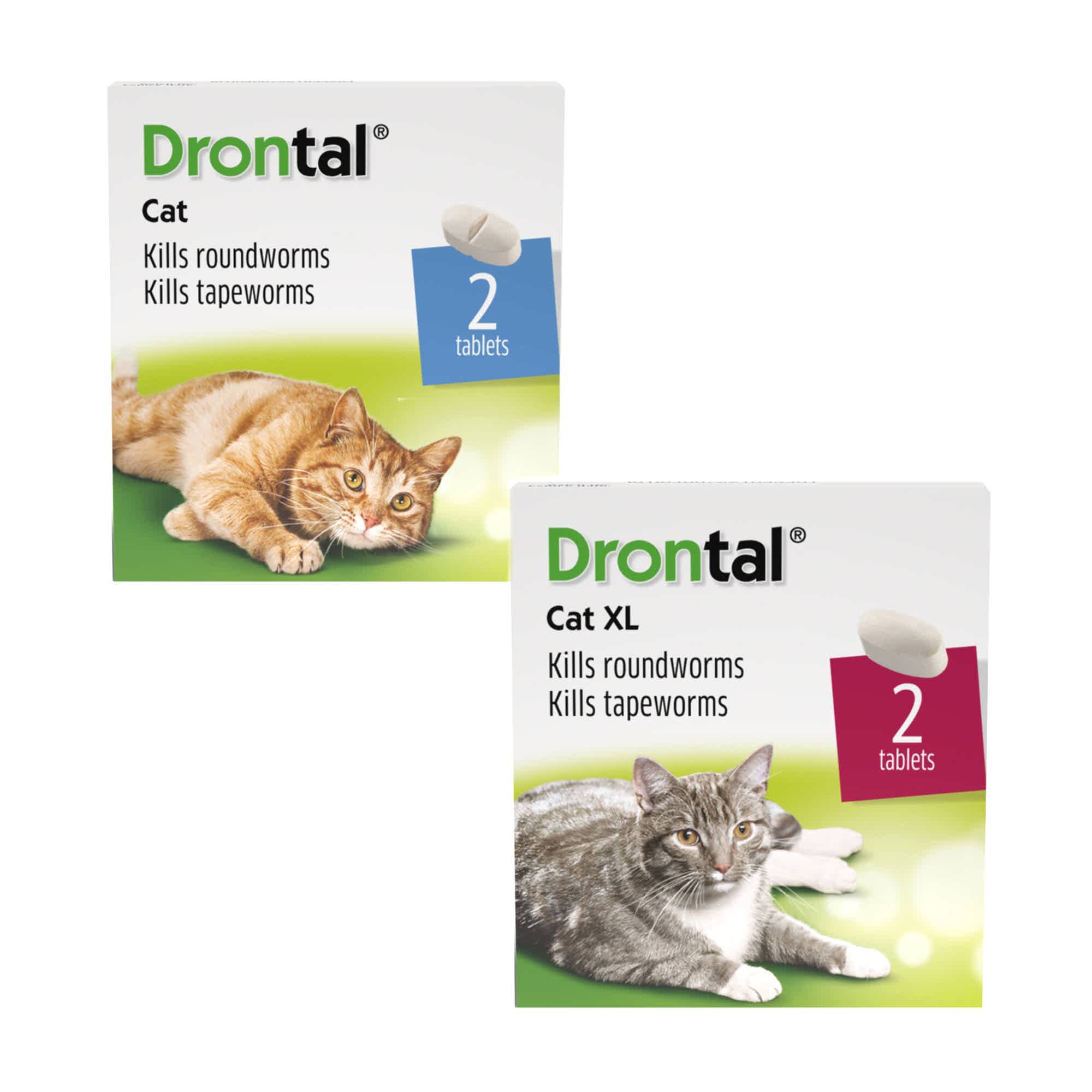 Drontal Wormer Tablets for Cats 2 Pack