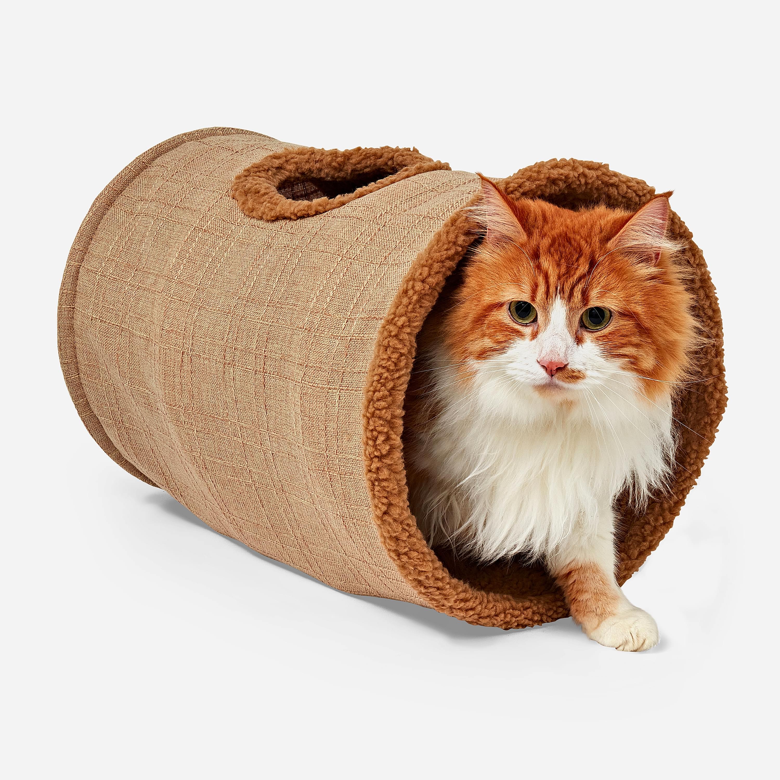 Willow's Cat Tunnel Toy