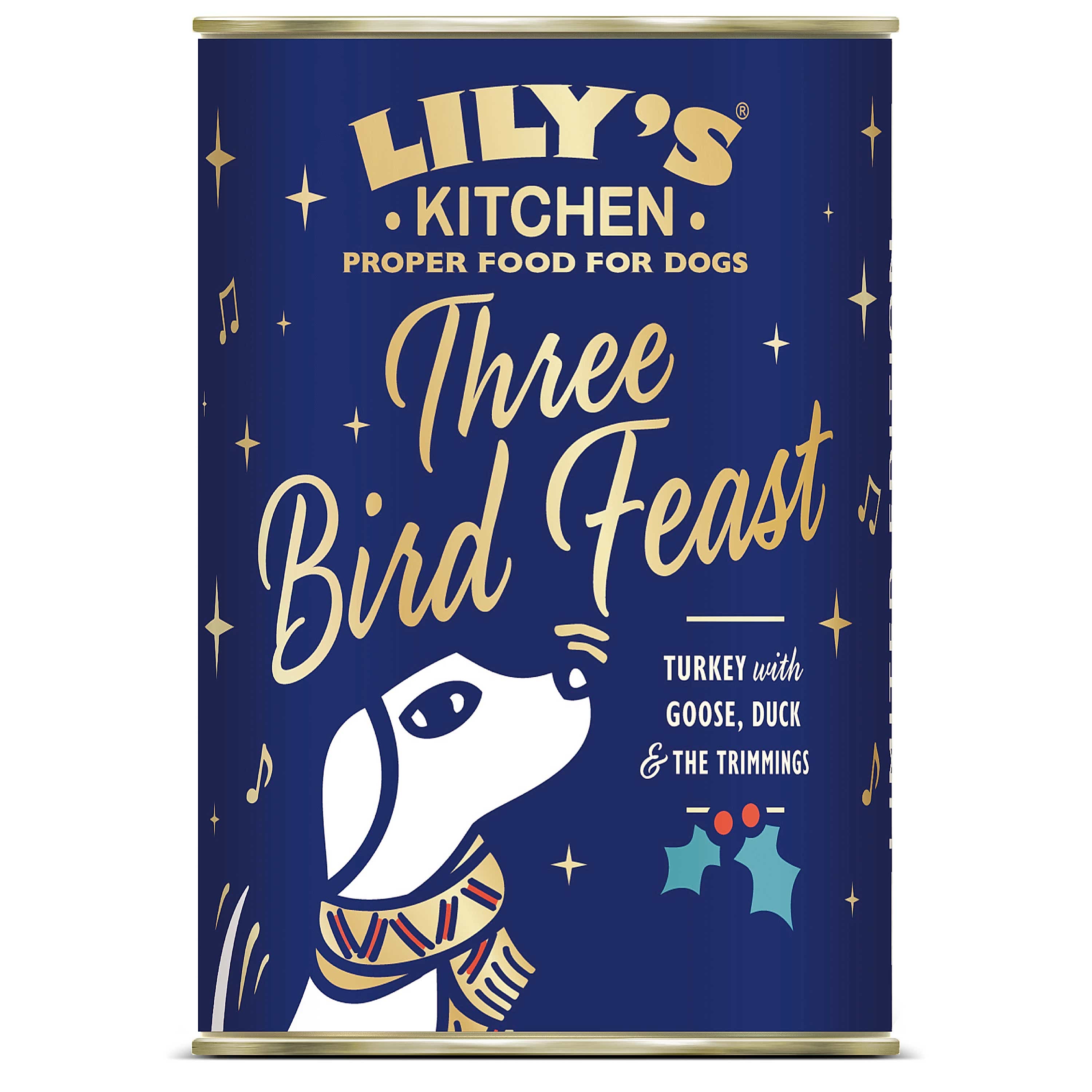 Lily's Kitchen Christmas Adult Wet Dog Food Three Bird Feast Tin