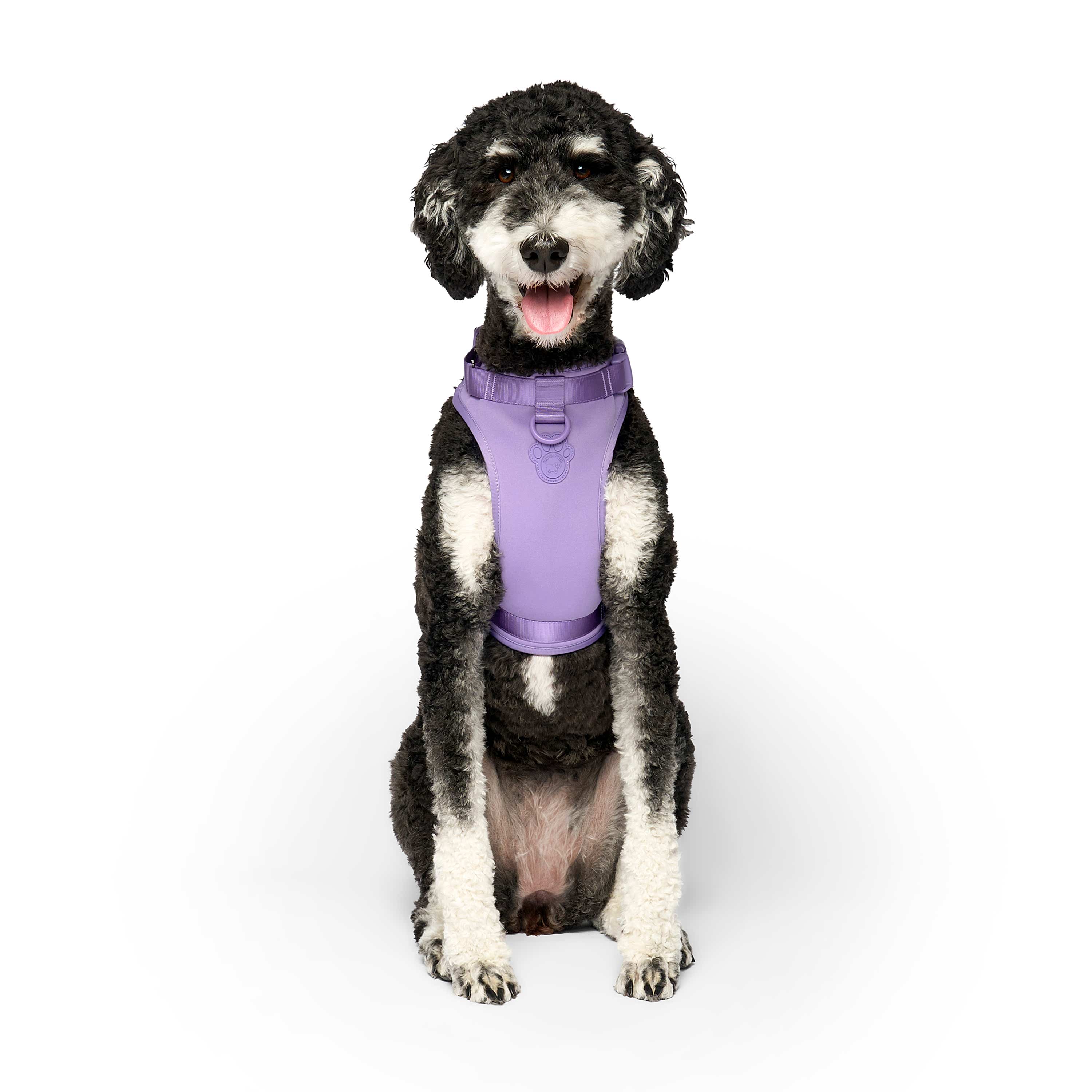 Canada Pooch Everything Dog Harness with Poop Bag Dispenser Lavender