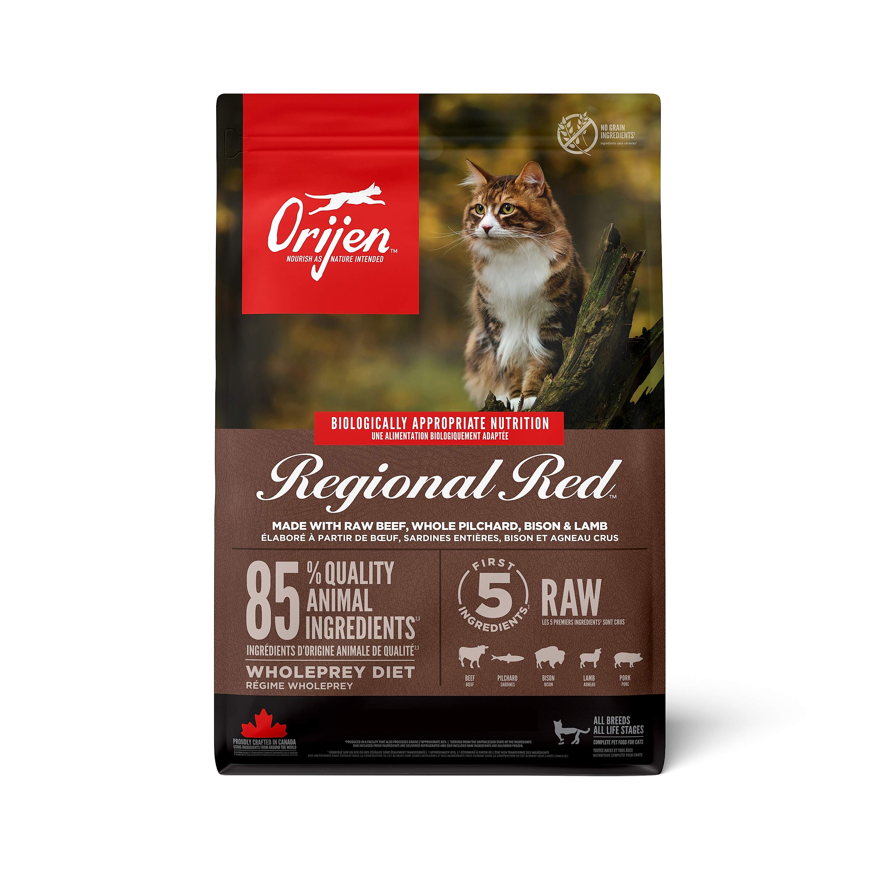 ORIJEN Regional Red Adult Dry Cat Food with Beef Pilchard Bison & Lamb