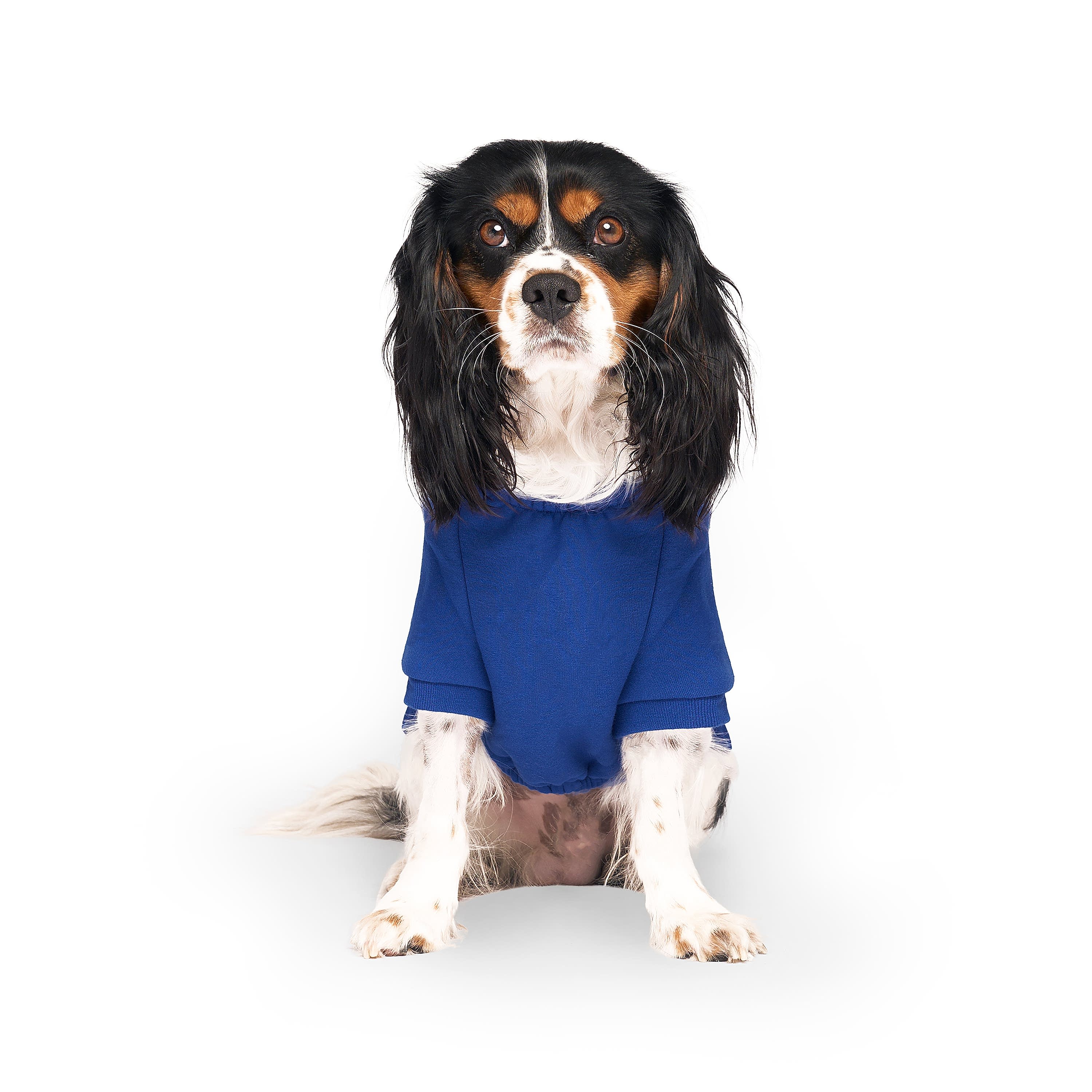 Canada Pooch Everyday Hoodie Dog Jumper Cobalt