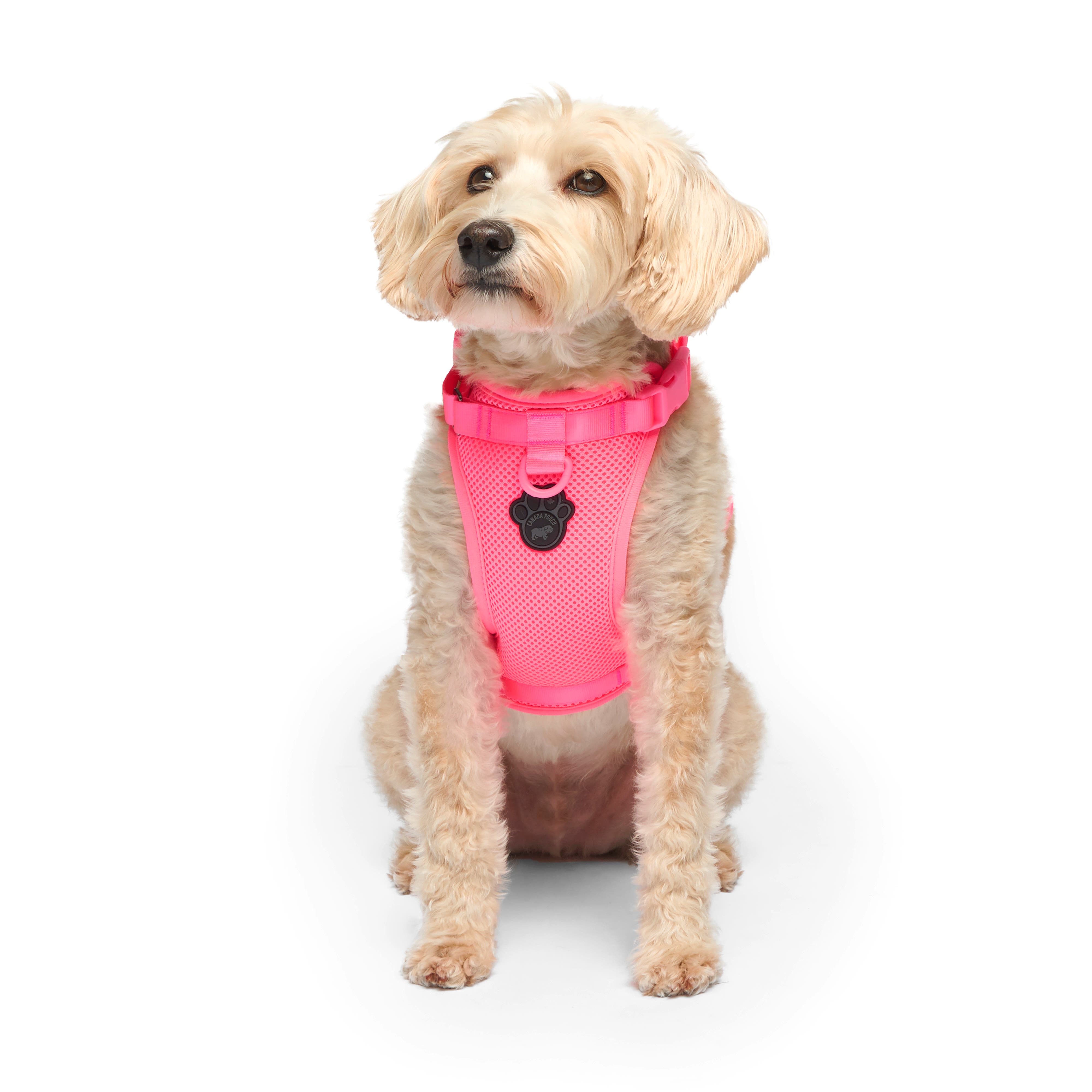 Canada Pooch Everything Dog Harness Neon Pink