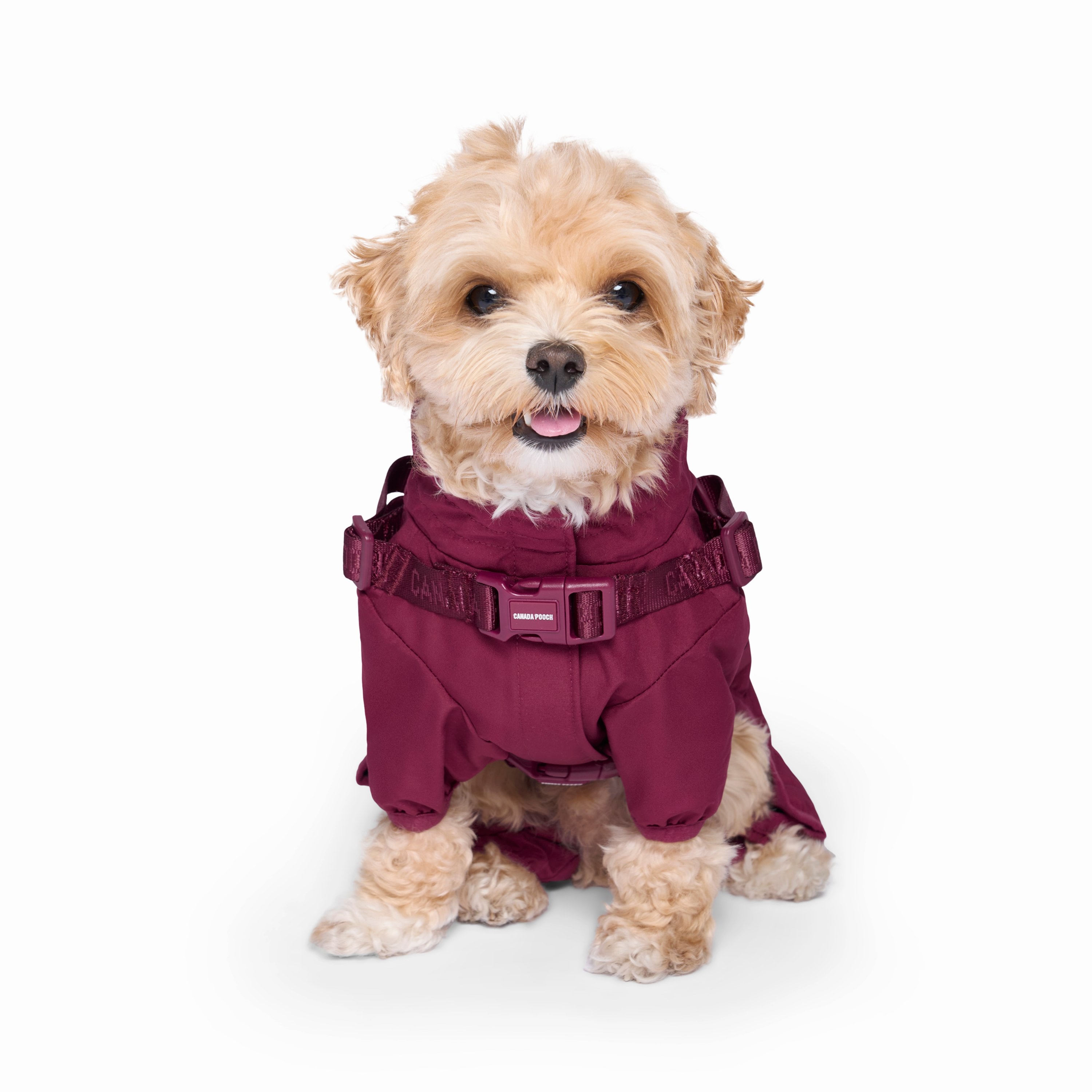 Canada Pooch Dog Snowsuit Harness Plum