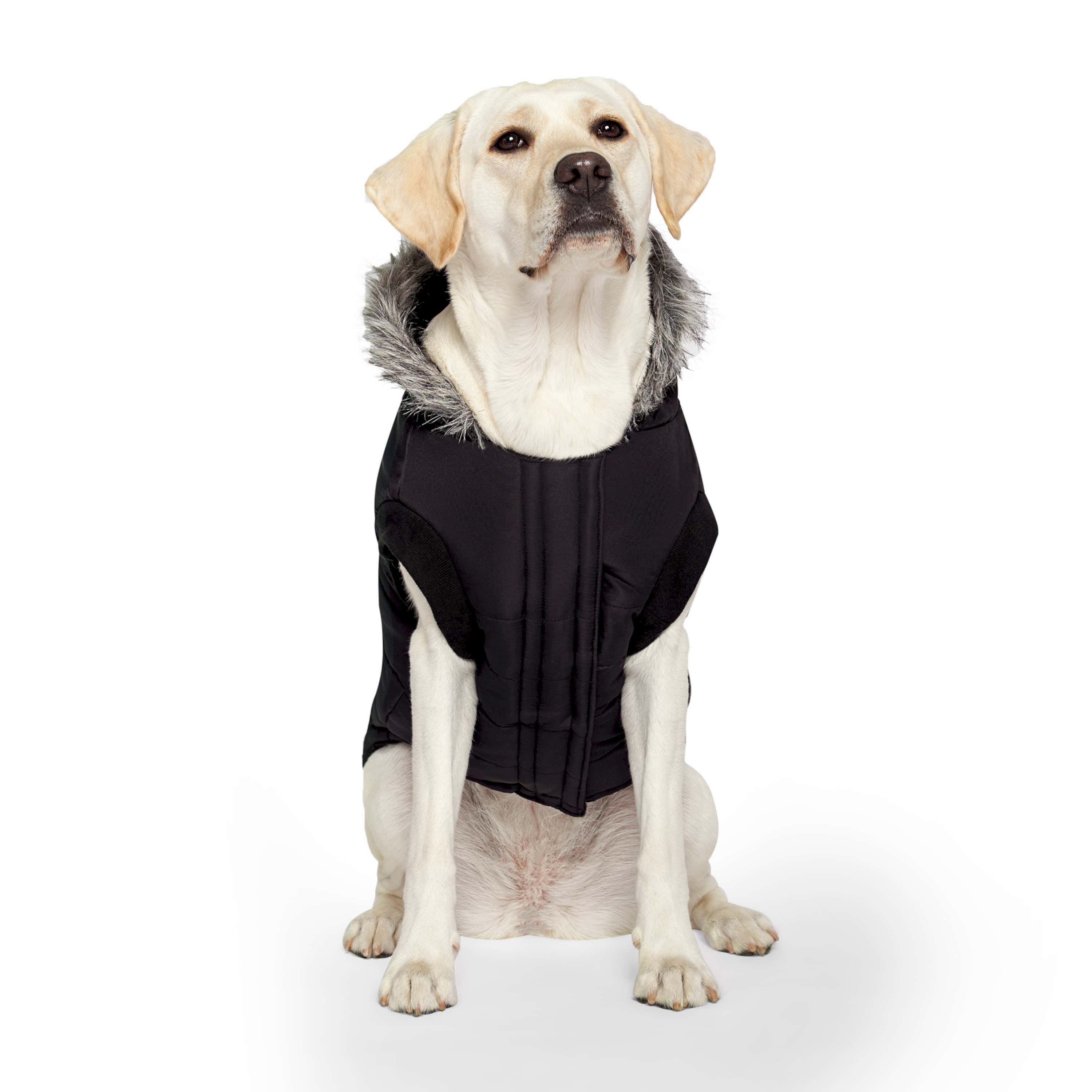 Canada Pooch True North Parka Dog Coat Black