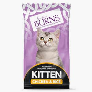 Burns Original Dry Kitten Food Chicken & Rice