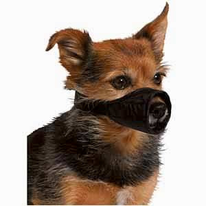 Pets at Home Dog Training Safety Muzzle