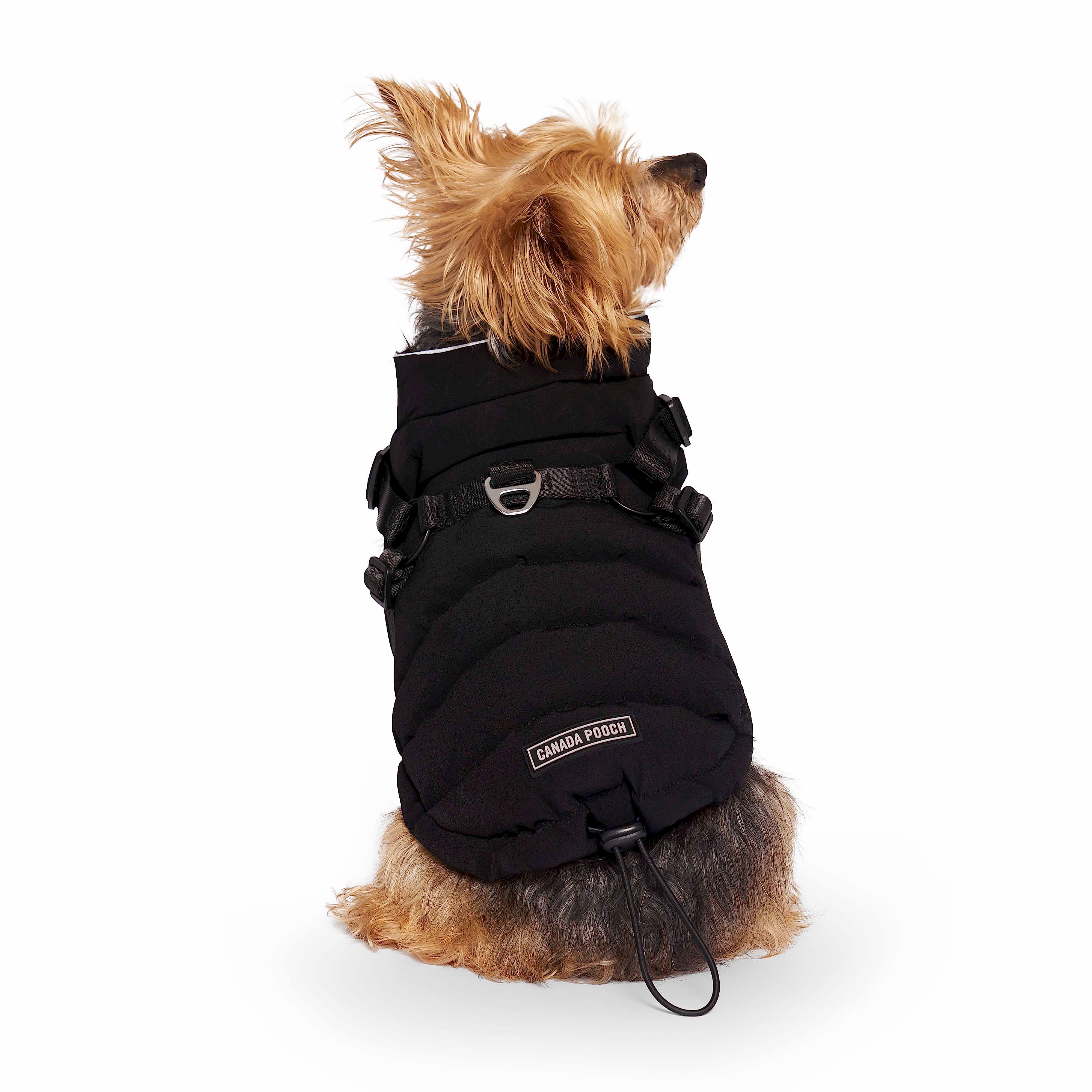 Canada Pooch Dog Snowsuit Harness Black