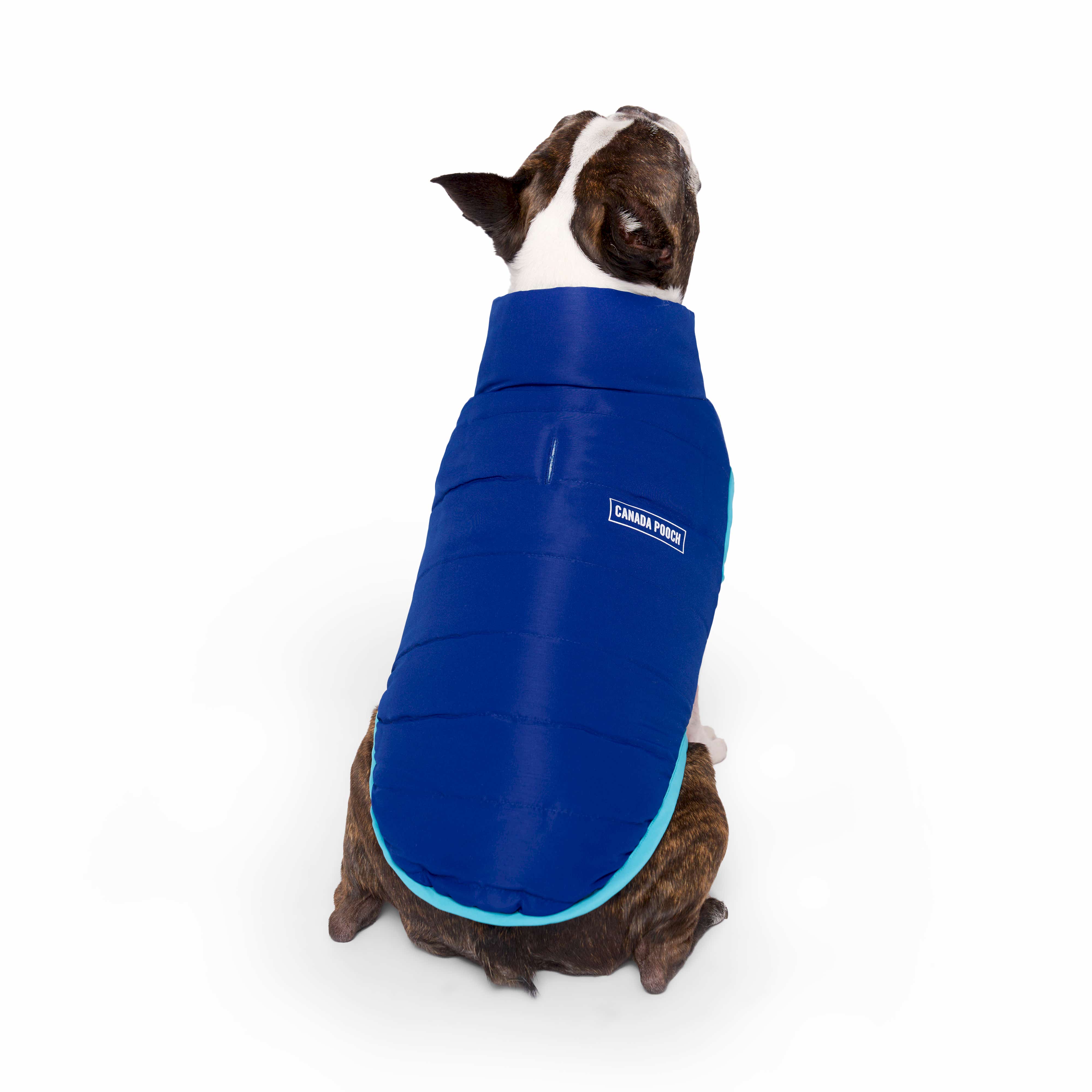 Canada Pooch Reversible Puffer Vest Dog Coat Blue/Teal