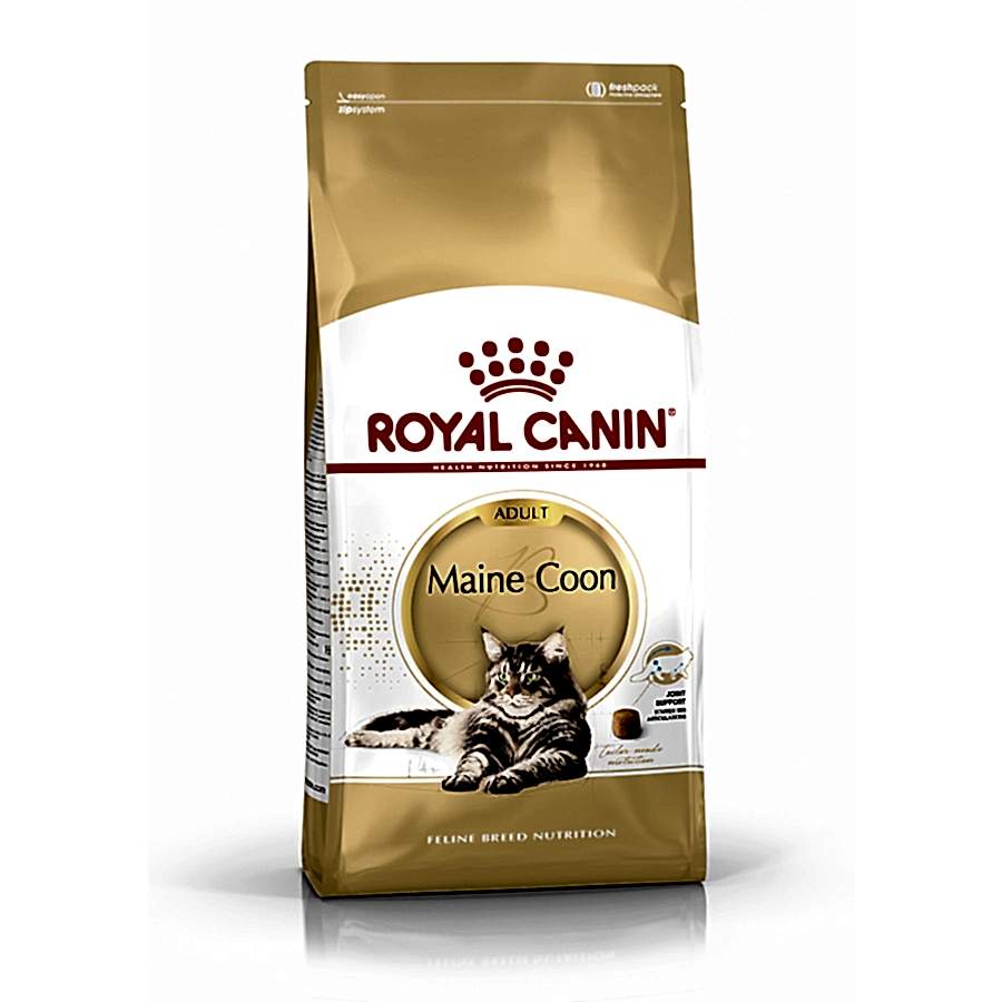 Royal Canin Maine Coon Adult Dry Cat Food