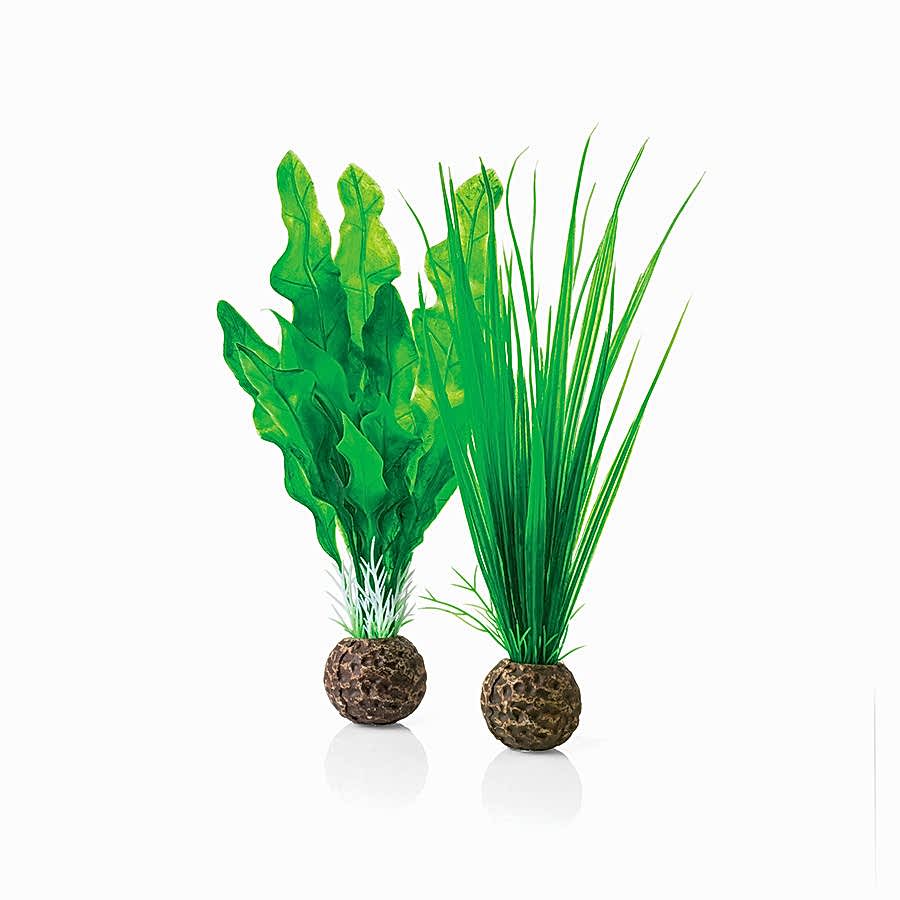 BiOrb Easy Plant Set Green