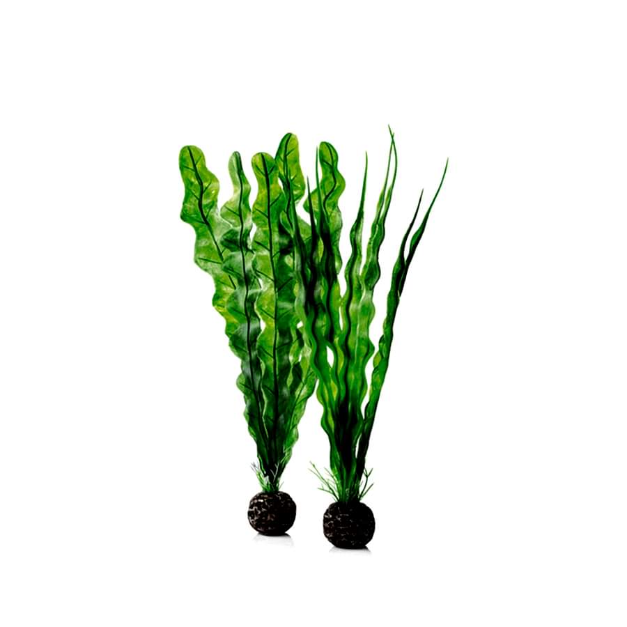 BiOrb Aquarium Easy Plant Set Green