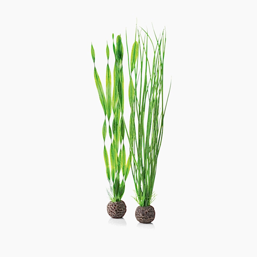 BiOrb Aquarium Easy Plant Set Green