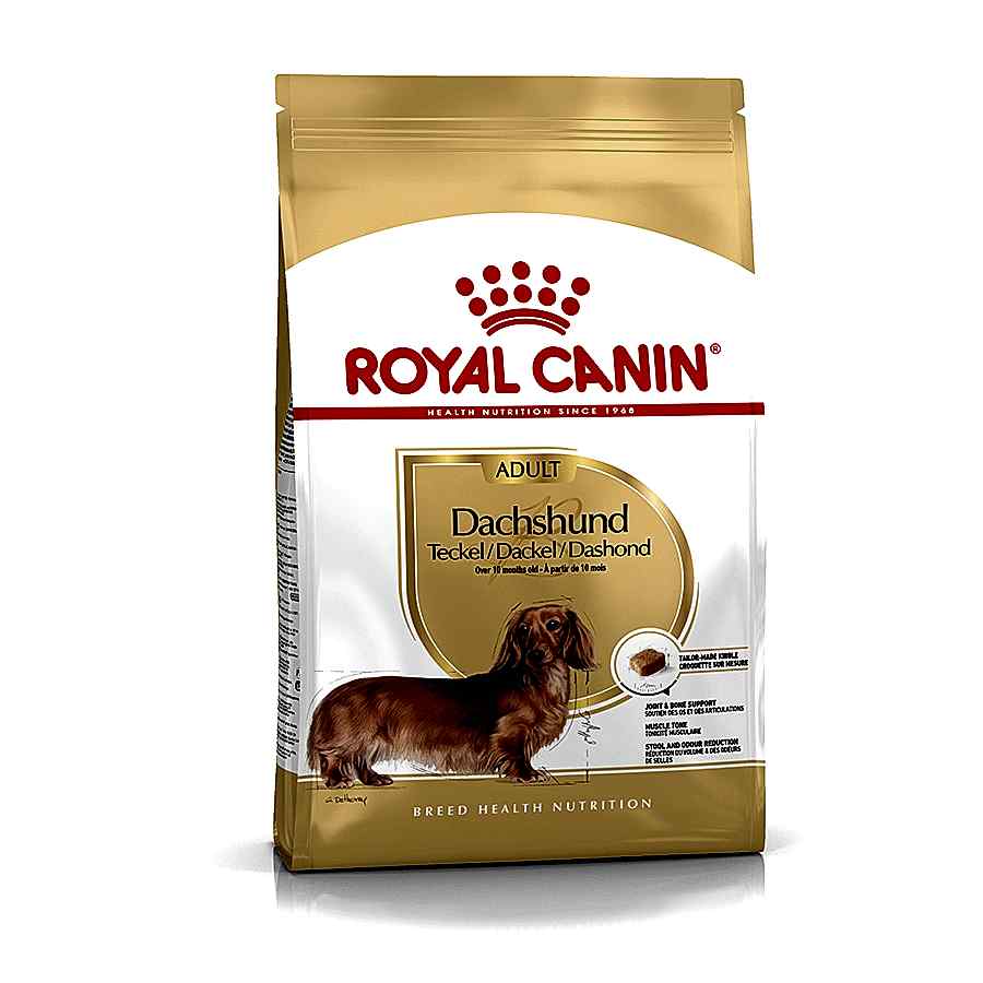 Royal Canin Dachshund Adult Dry Dog Food