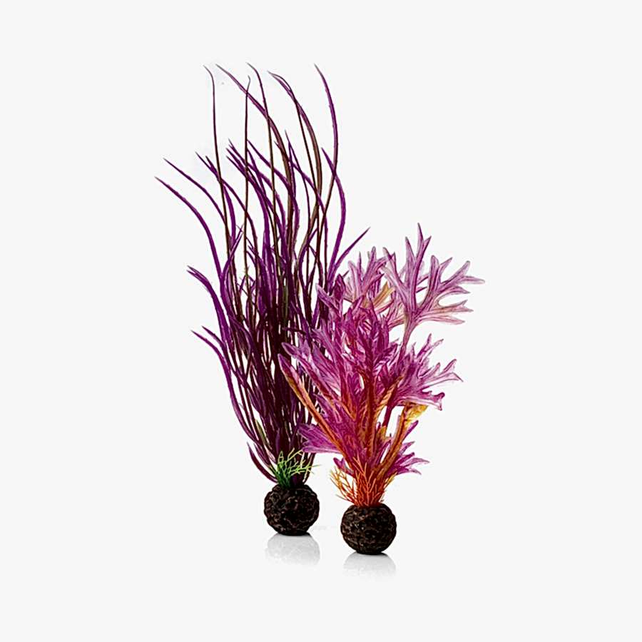 BiOrb Aquarium Easy Plant Set Red & Pink