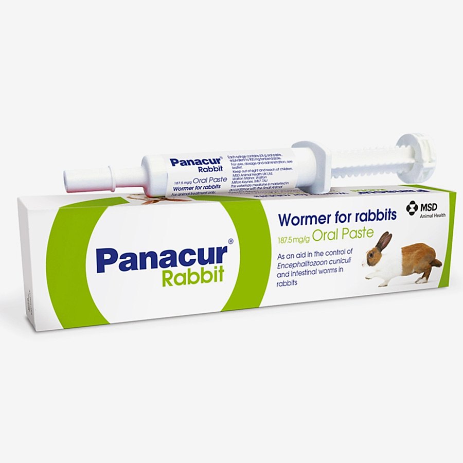 Panacur Worming Paste for Rabbits