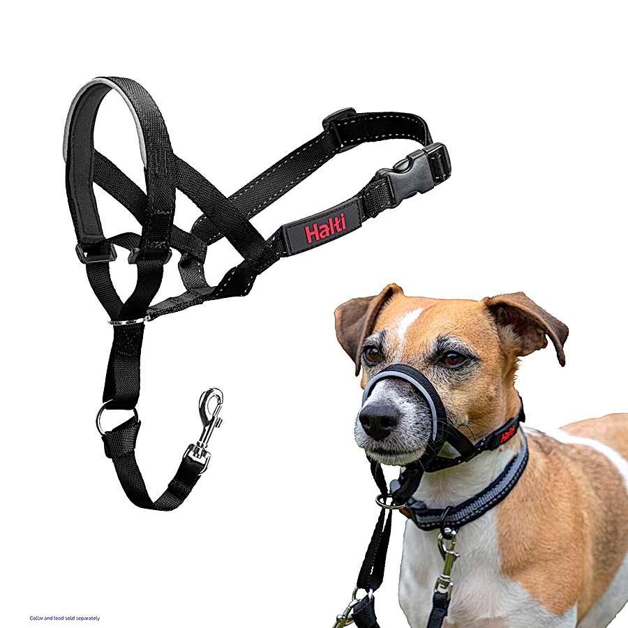 Halti Dog Headcollar Black