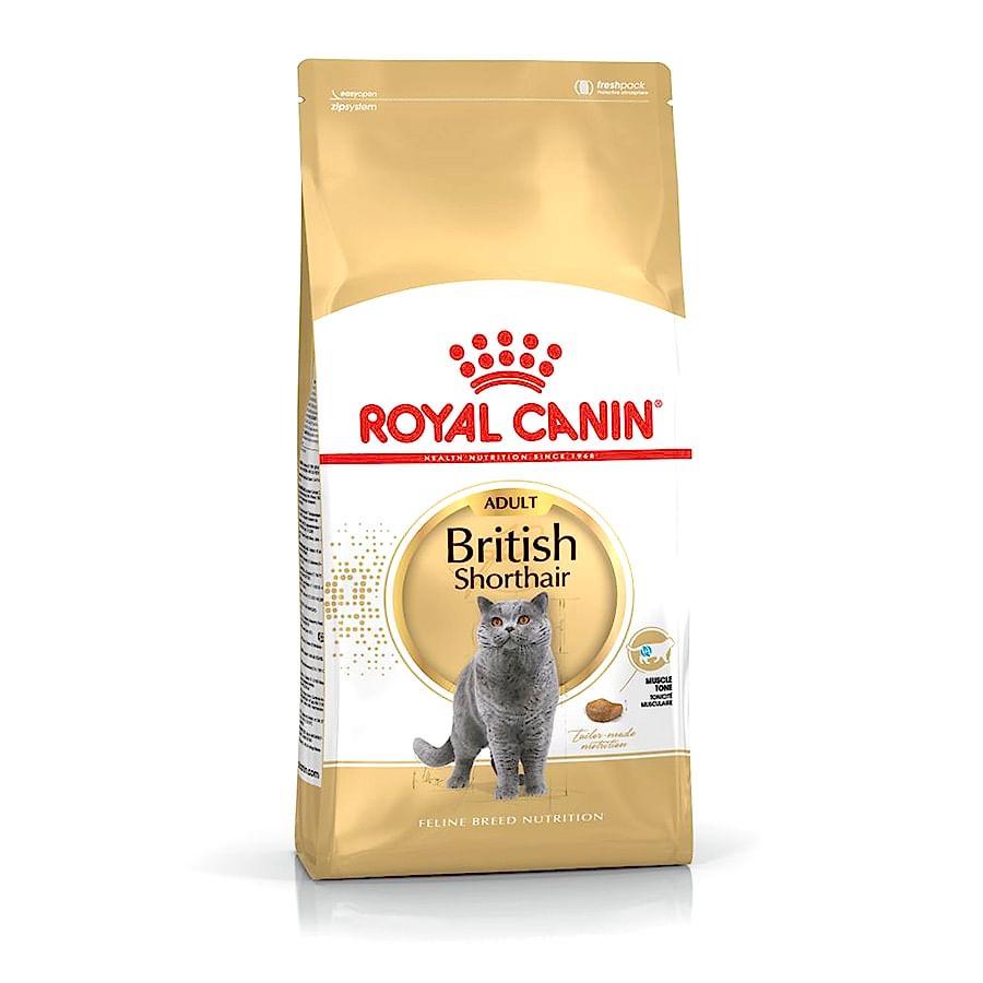 Royal Canin British Shorthair Adult Dry Cat Food