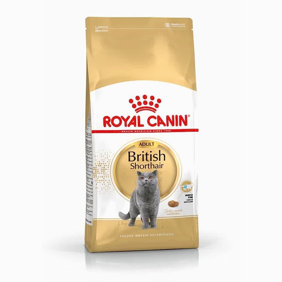 Royal Canin British Shorthair Adult Dry Cat Food