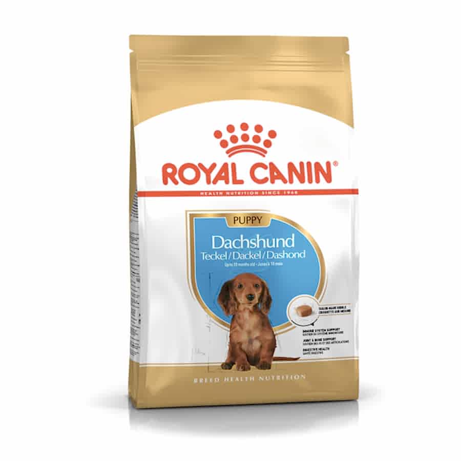 Royal Canin Dachshund Puppy Dry Dog Food