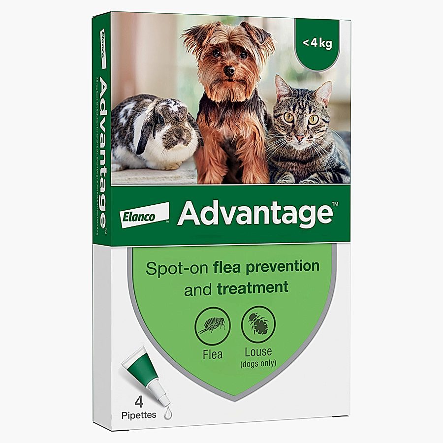 Advantage Spot-On Flea Treatment for Cats, Small Dogs & Rabbits 4 Pack