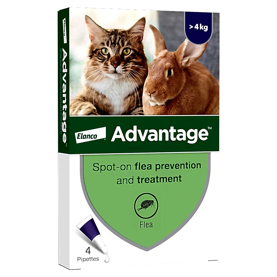 Advantage Spot-On Flea Treatment for Large Cats & Rabbits 4 Pack