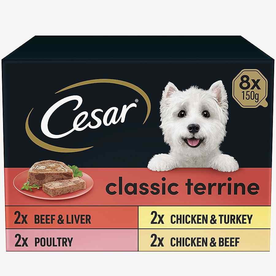 Cesar Classics Terrine Wet Adult Dog Food Mixed Loaf