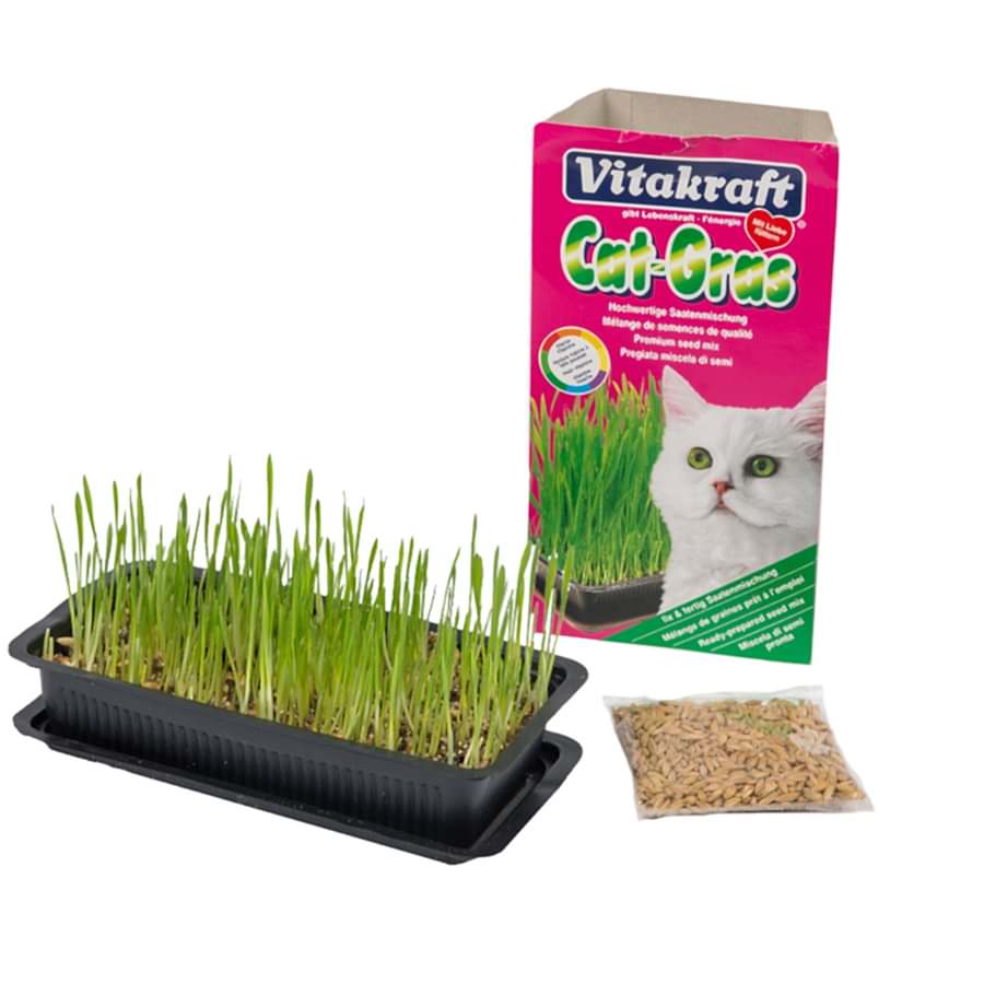 Vitakraft Cat Grass