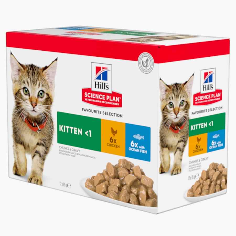 Hill's Science Plan Wet Kitten Food Chicken & Ocean Fish