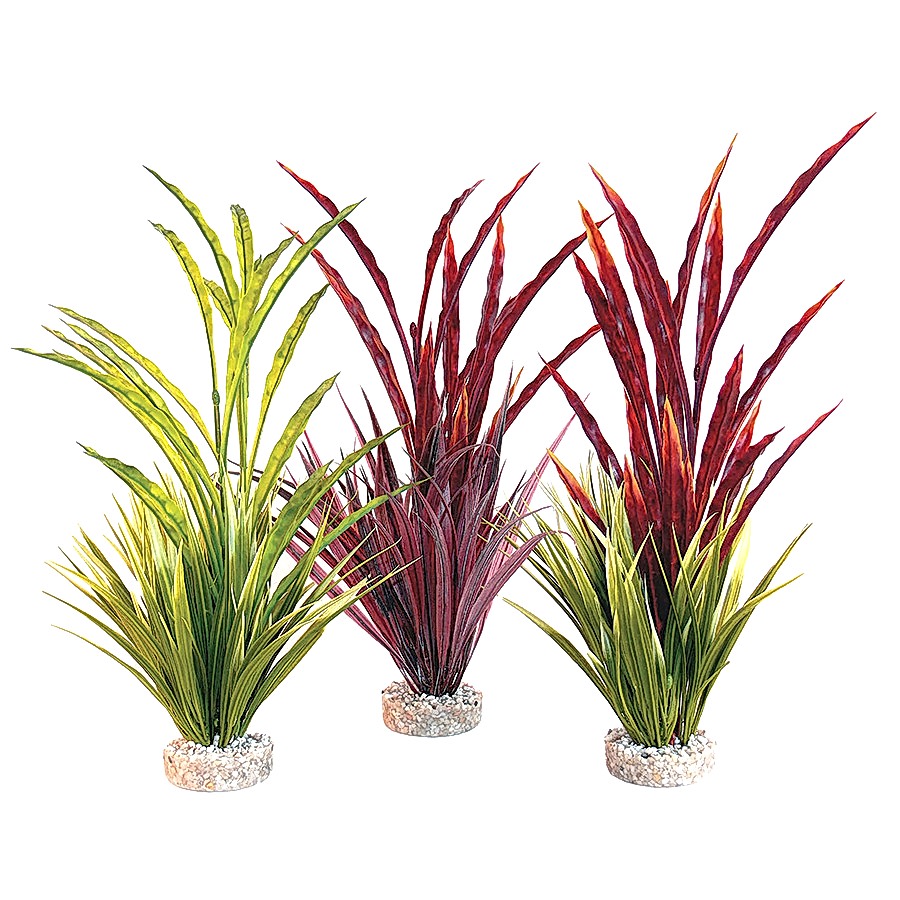 Sydeco Atoll Grass Aquarium Plant