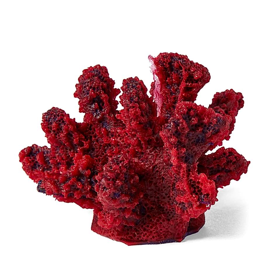 Pets at Home Branch Coral Aquarium Ornament Mini Red