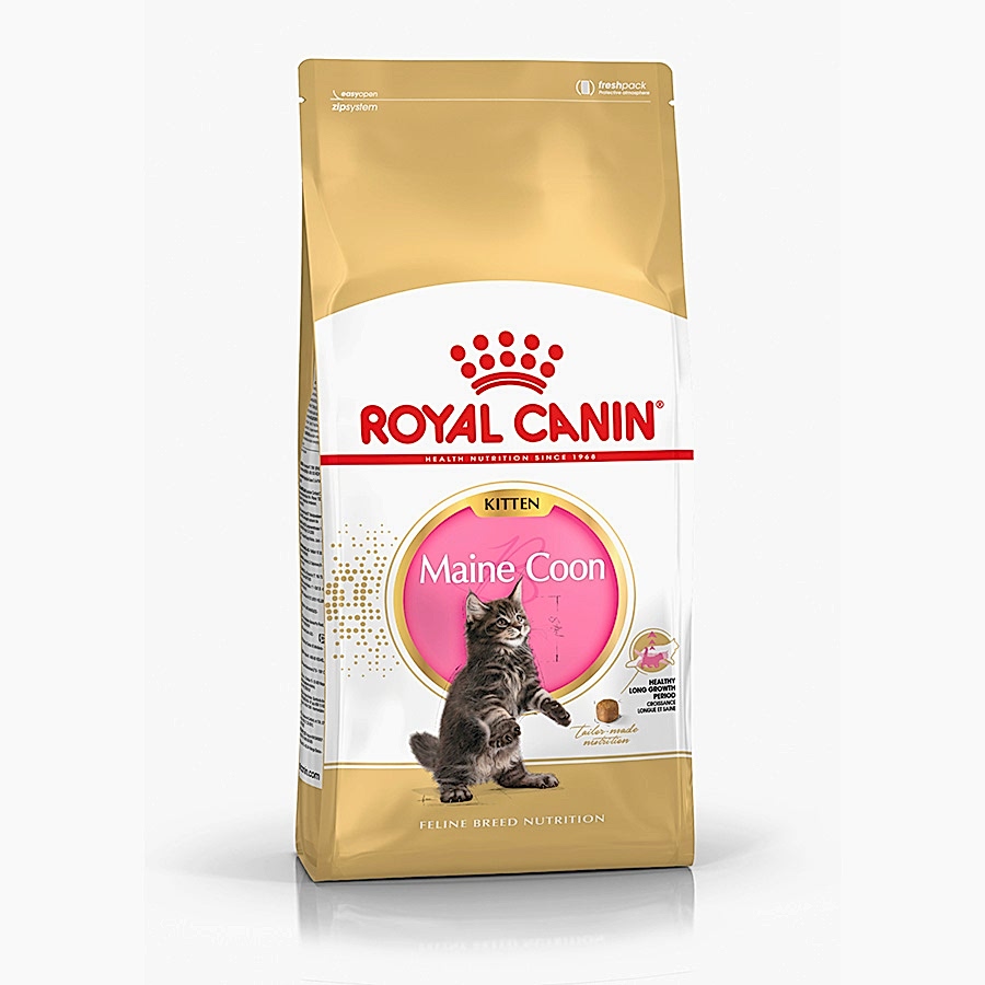 Royal Canin Maine Coon Kitten Dry Cat Food