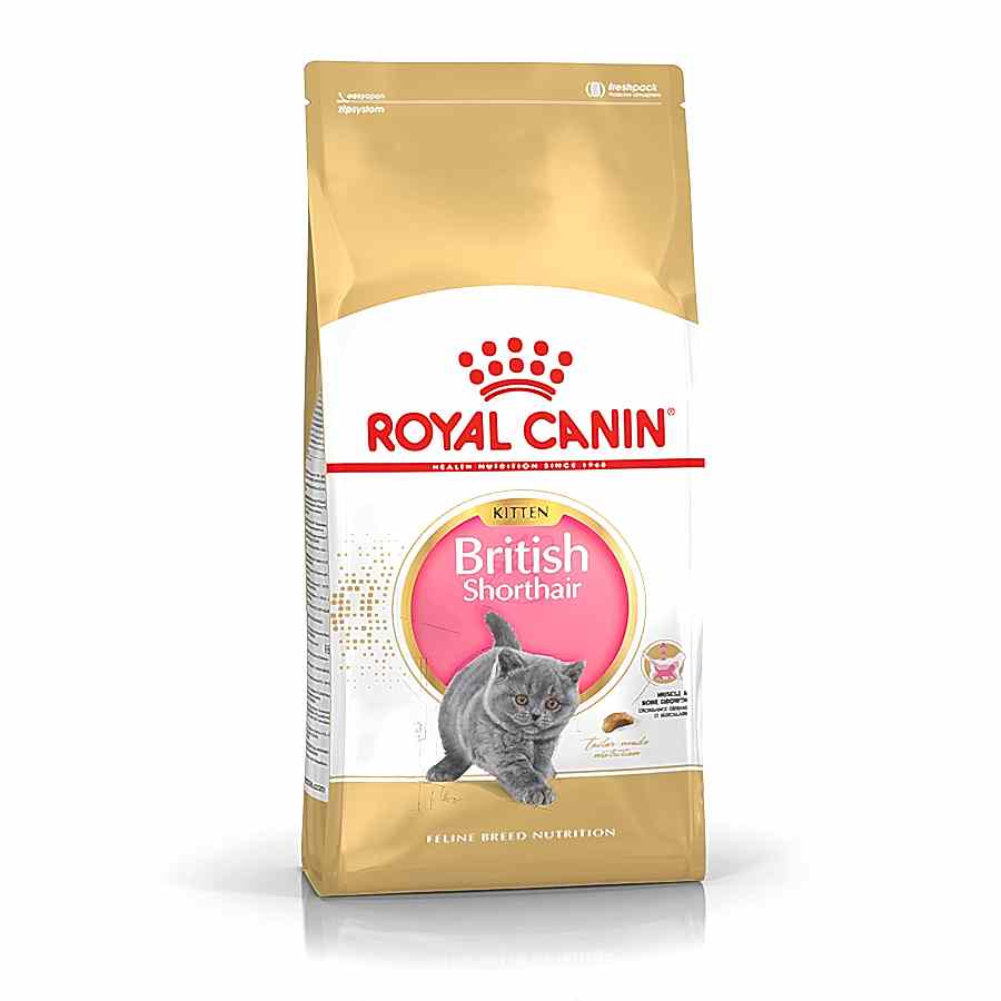 Royal Canin British Shorthair Dry Kitten Cat Food