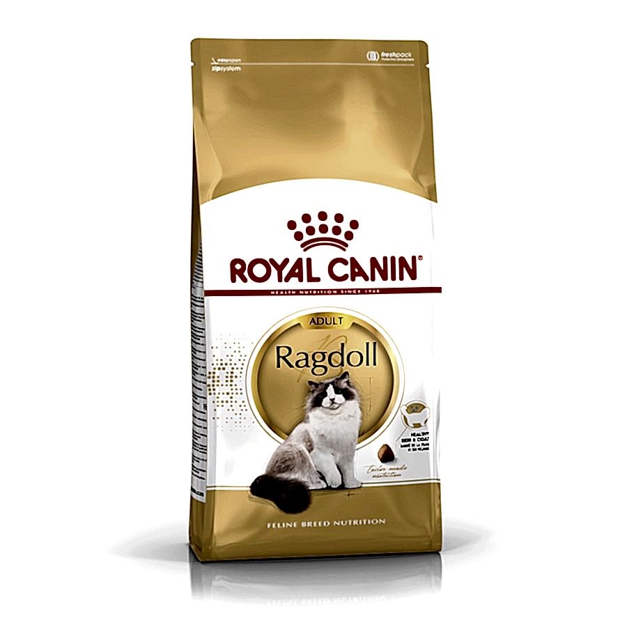 Royal Canin Breed Ragdoll Adult Dry Cat Food