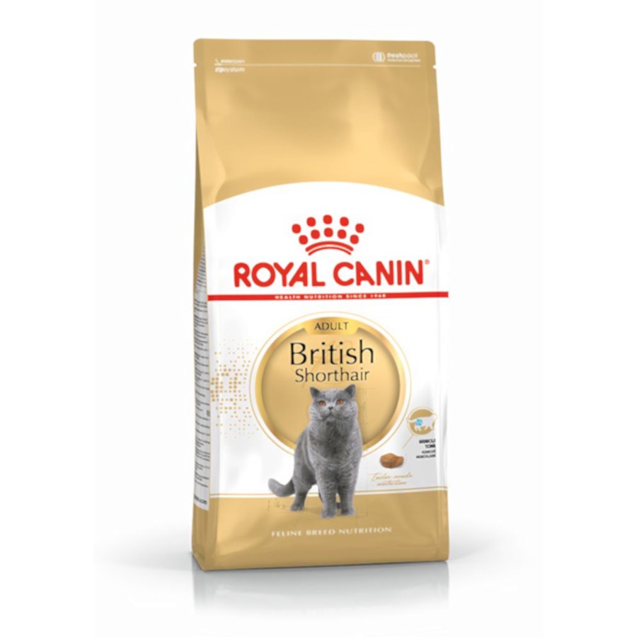 Royal Canin British Shorthair Adult Dry Cat Food