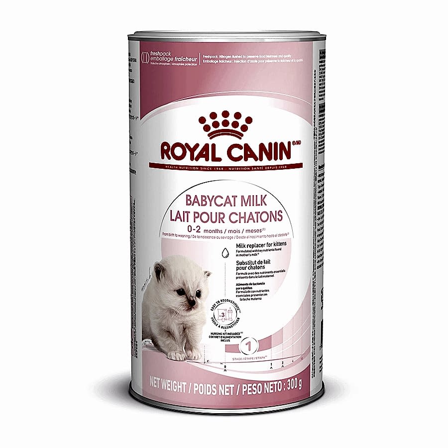 Royal Canin Feline Babycat Milk Wet Kitten Food