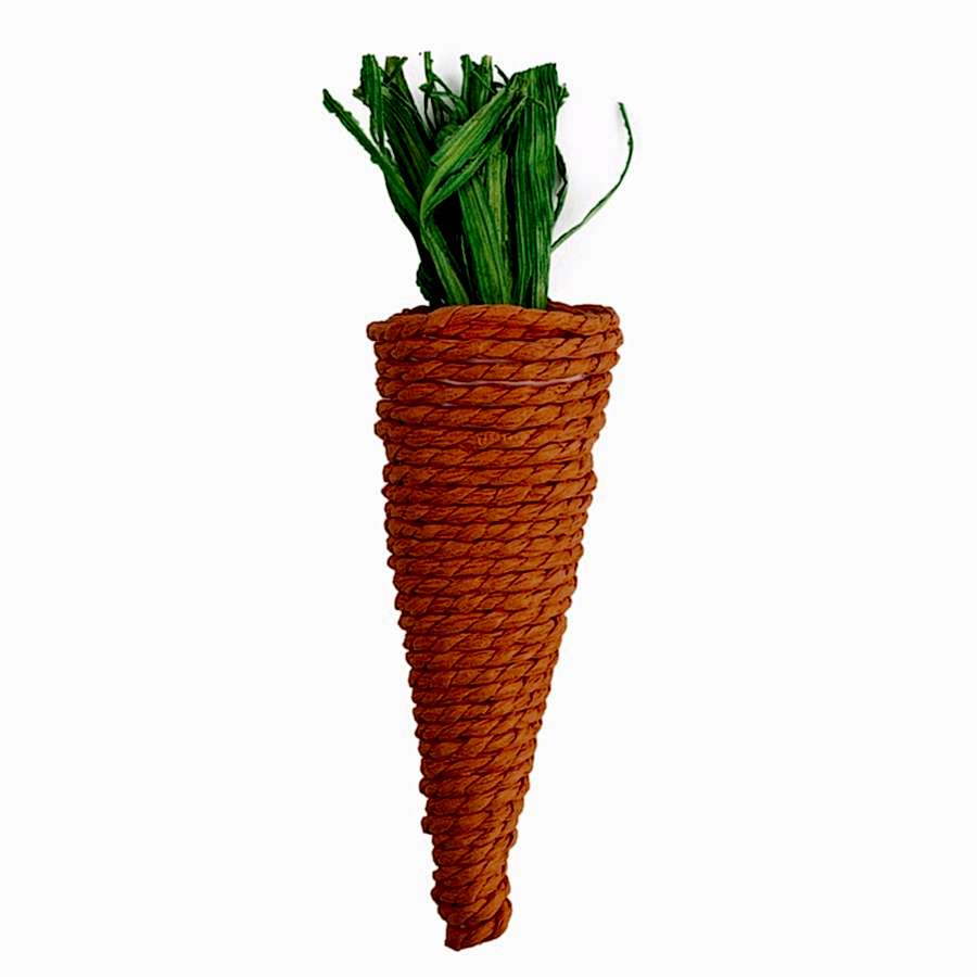 Pets at Home Sisal Carrot