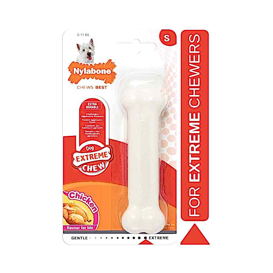 Nylabone Dura Chew Regular Bone Dog Toy