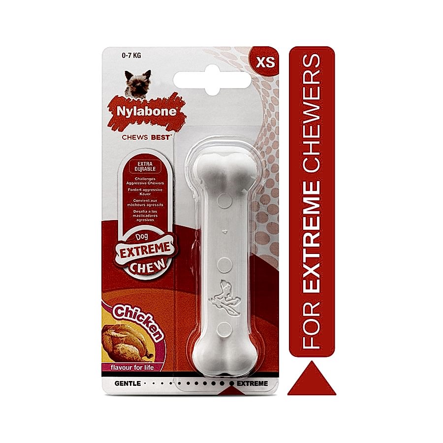 Nylabone Dura Chew Petite Bone Dog Toy Chicken