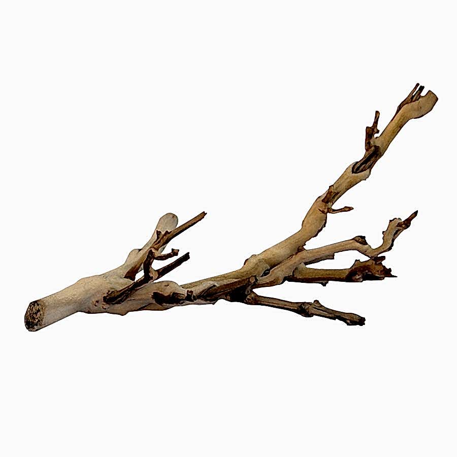 Exo Terra Forest Branch Decoration