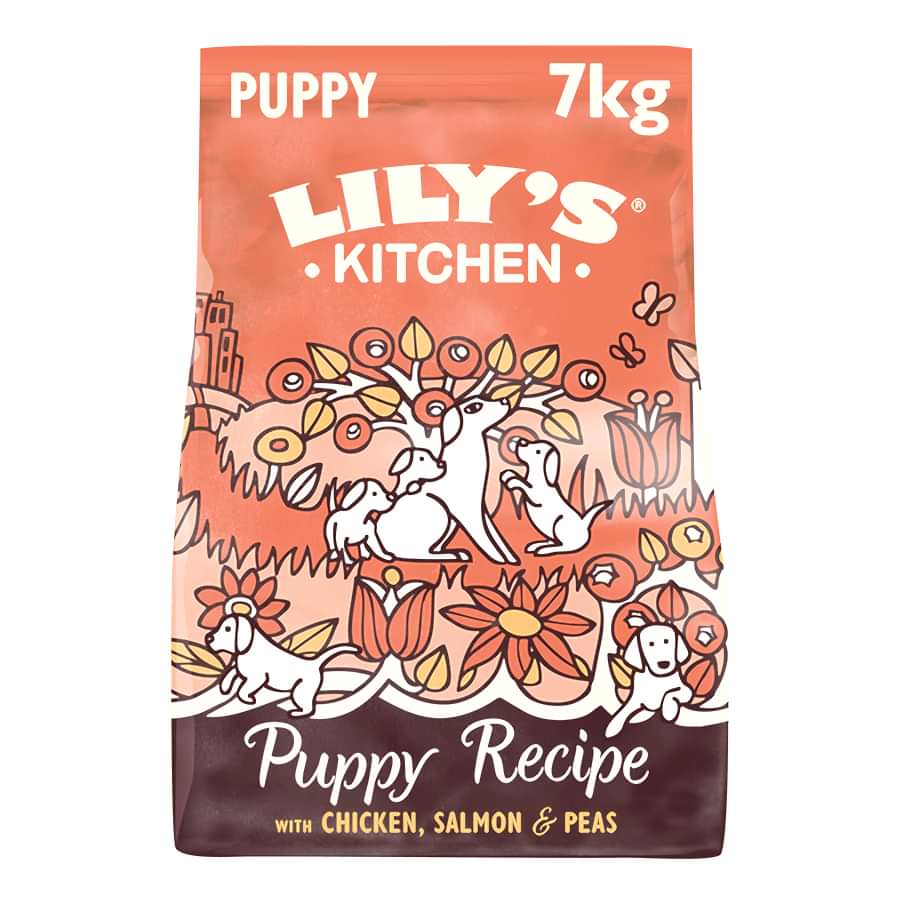 Lily's Kitchen Puppy Dry Dog Food Chicken & Salmon