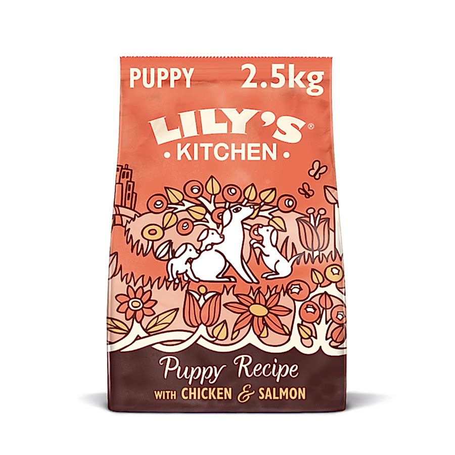 Lily's Kitchen Puppy Recipe Dry Dog Food Chicken & Salmon