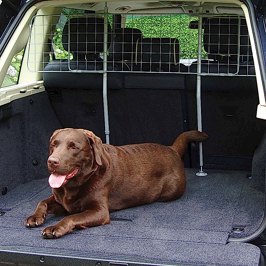 Rosewood Dog Car Guard