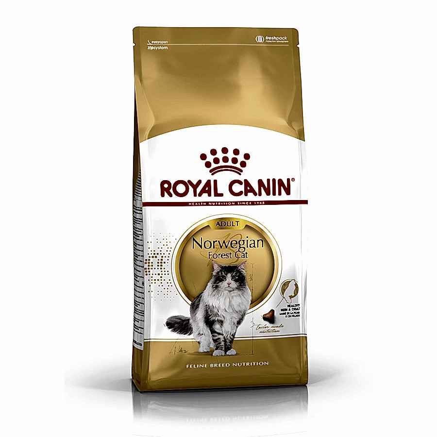 Royal Canin Norwegian Forest Adult Dry Cat Food