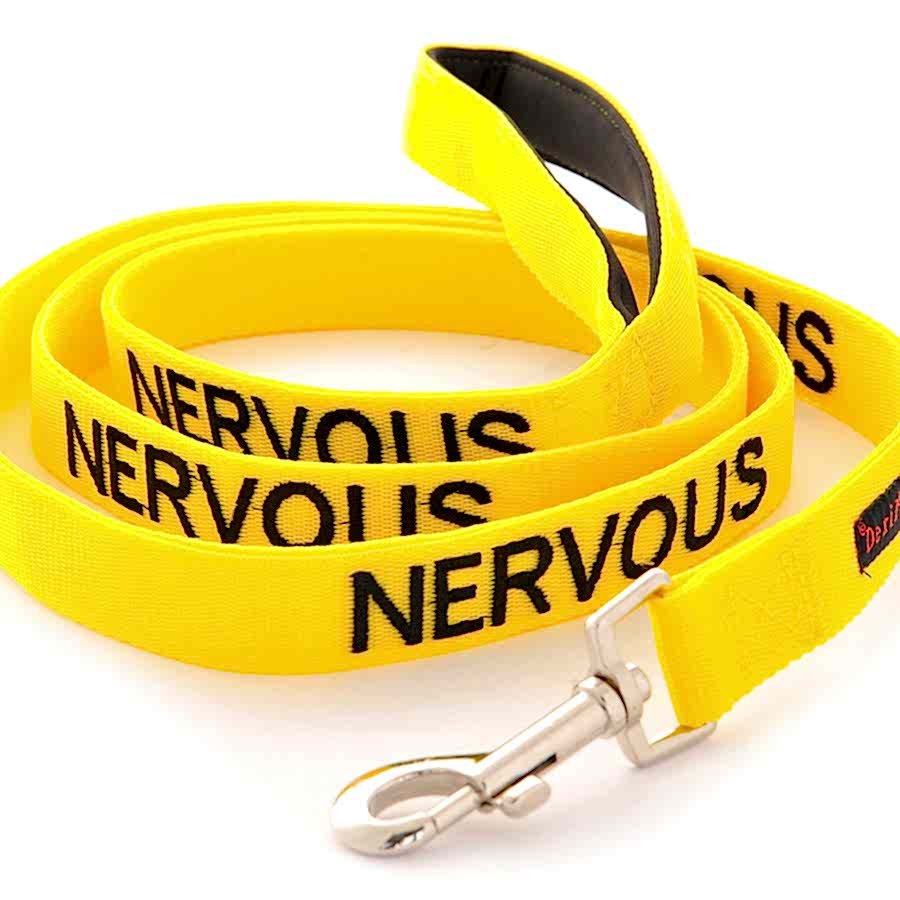 Friendly Dog Collars 'Nervous' Dog Lead Yellow