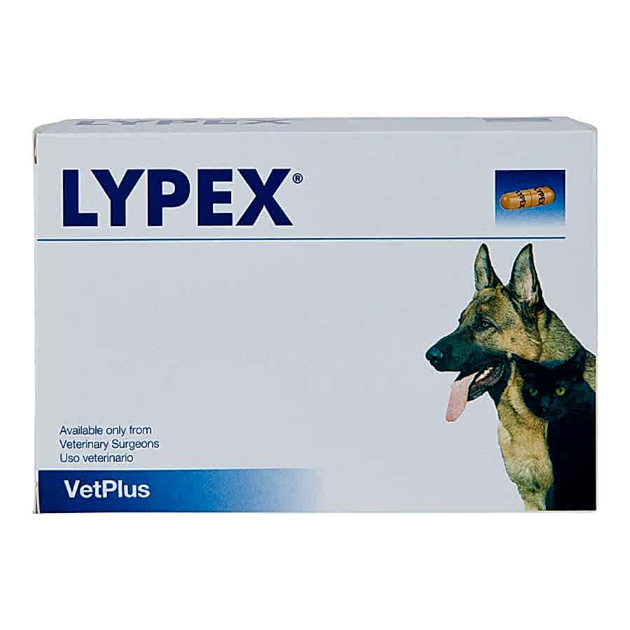 Lypex VetPlus Pancreatic Enzyme Capsules For Dogs & Cats