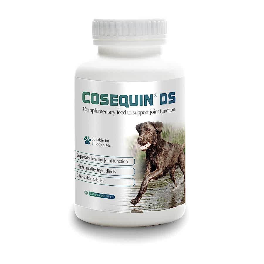 Protexin Veterinary Cosequin DS Joint Health Supplement for Dogs