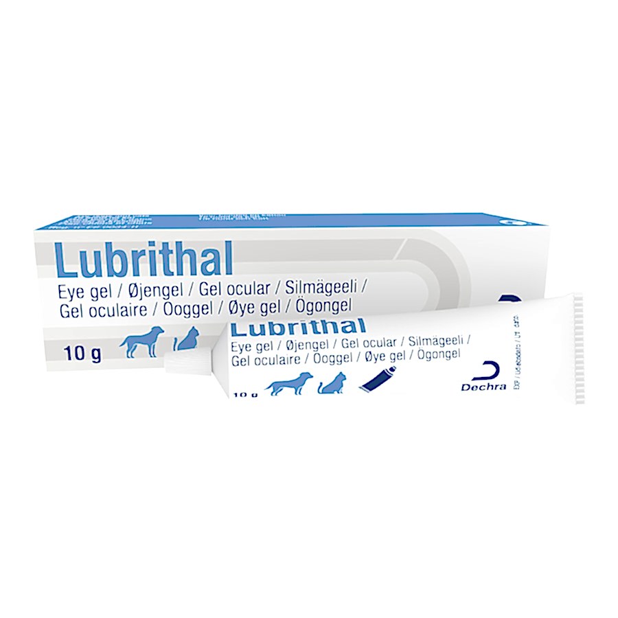 Dechra Lubrithal Soothing Eye Gel for Dogs & Cats