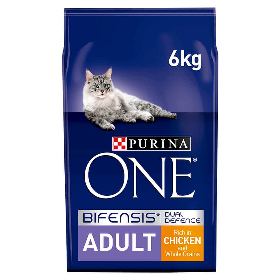 Purina ONE Adult Dry Cat Food Chicken