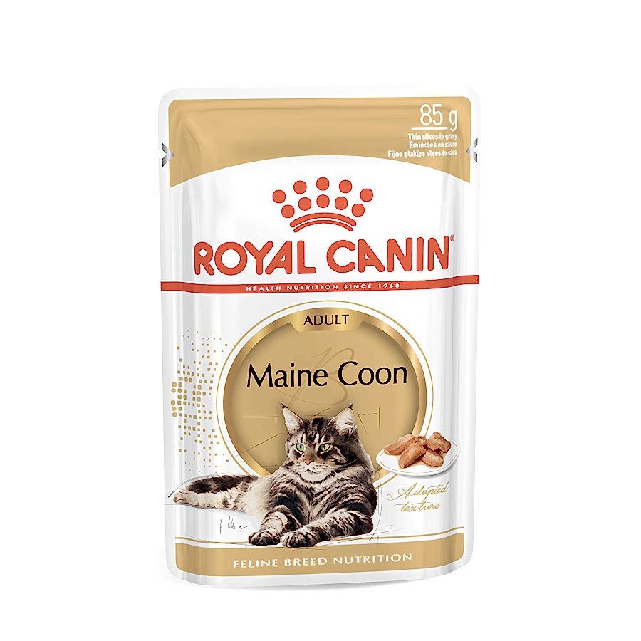 Royal Canin Maine Coon Adult Wet Cat Food In Gravy